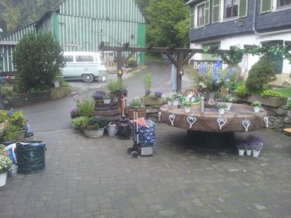 Foto: Rausm&amp;uuml;hle